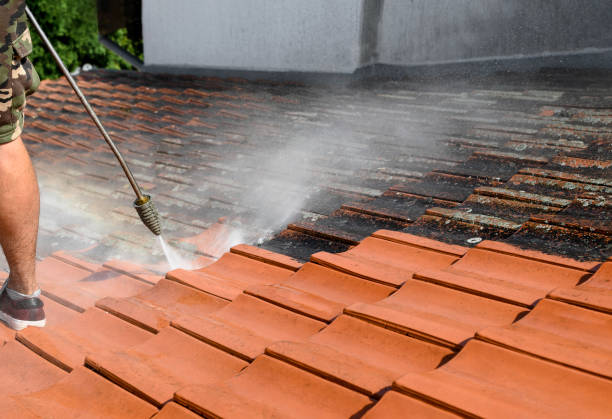 Best Local Pressure Washing Services  in University Park, IL